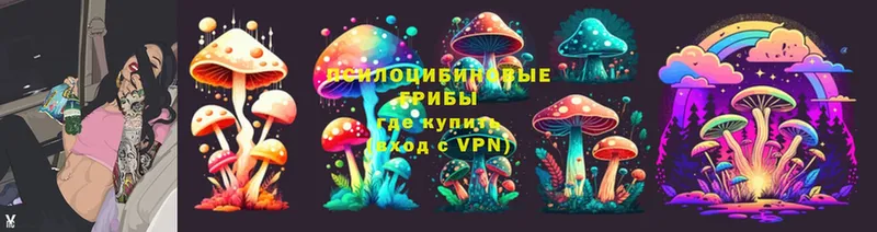 Галлюциногенные грибы Magic Shrooms  omg как войти  Абаза 